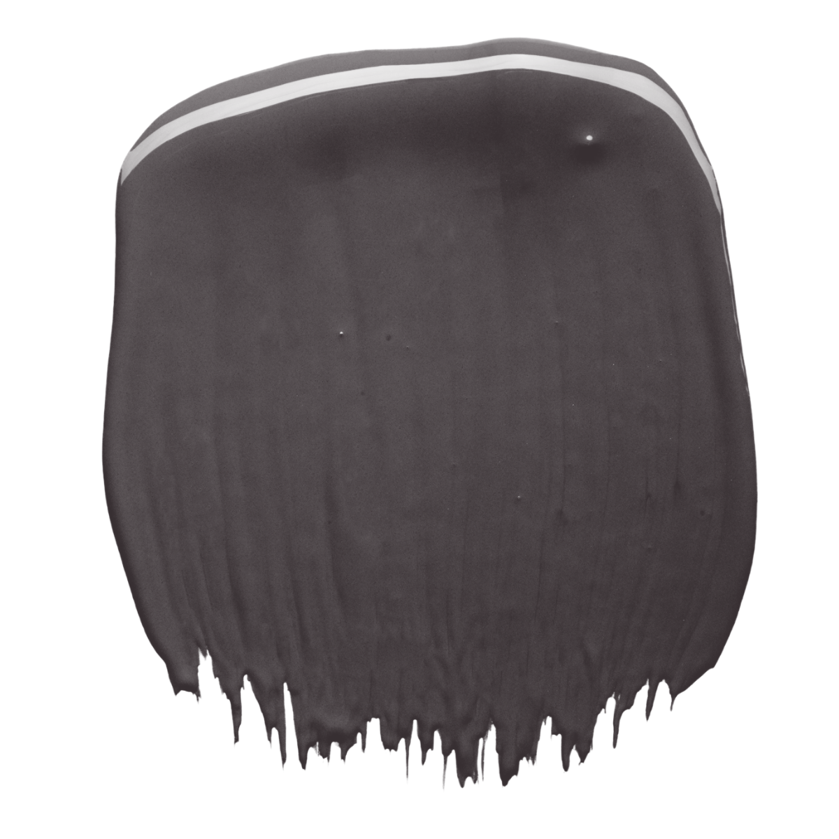 Ravens Wing Up Paint