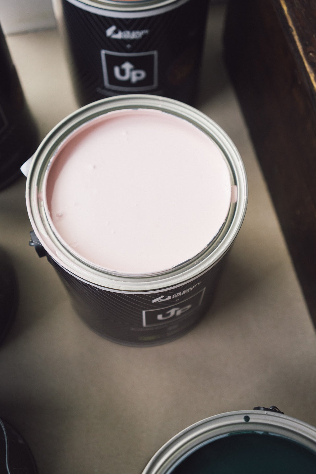 Adagio Pink (The Emily Rayna Collection)