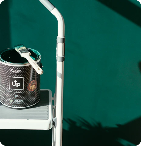 Northeastern Woods (The Emily Rayna Collection)